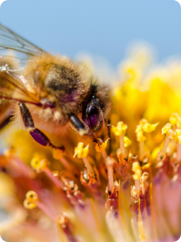Ikona prednášok pre odbornú verejnosť